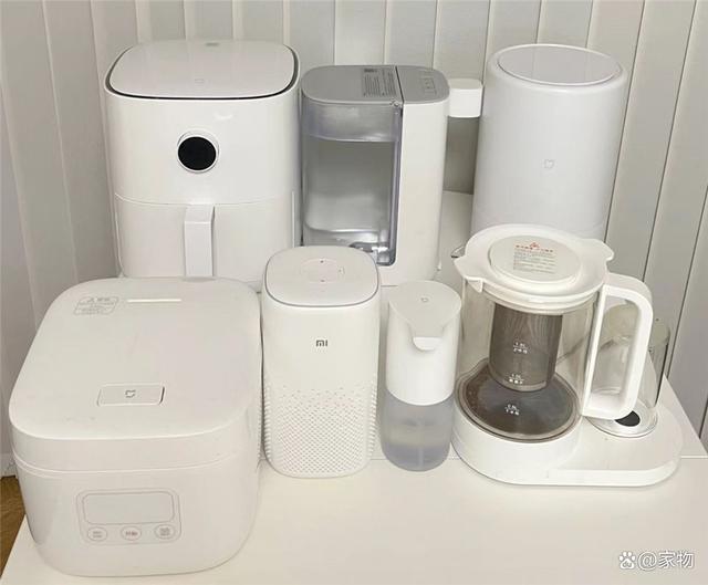 家用过一年后真的越来越满意值得买CQ9电子这9个小米“便宜货”我(图6)